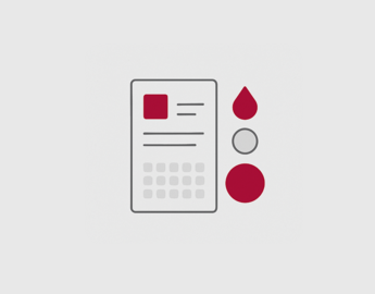 foundations icon